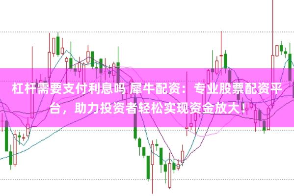 杠杆需要支付利息吗 犀牛配资：专业股票配资平台，助力投资者轻松实现资金放大！