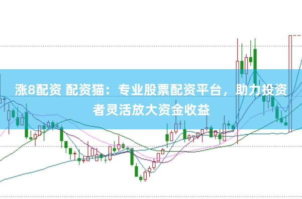 涨8配资 配资猫：专业股票配资平台，助力投资者灵活放大资金收益