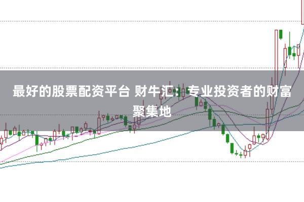 最好的股票配资平台 财牛汇:专业投资者的财富聚集地