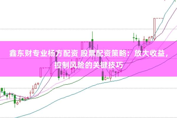 鑫东财专业杨方配资 股票配资策略:放大收益,控制风险的关键技巧
