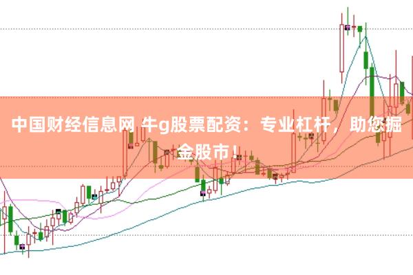 中国财经信息网 牛g股票配资：专业杠杆，助您掘金股市！