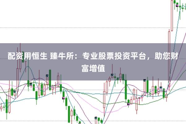 配资用恒生 臻牛所:专业股票投资平台,助您财富增值