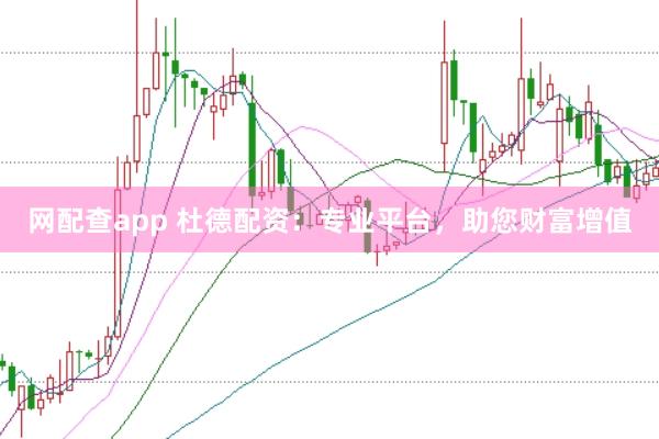 网配查app 杜德配资：专业平台，助您财富增值
