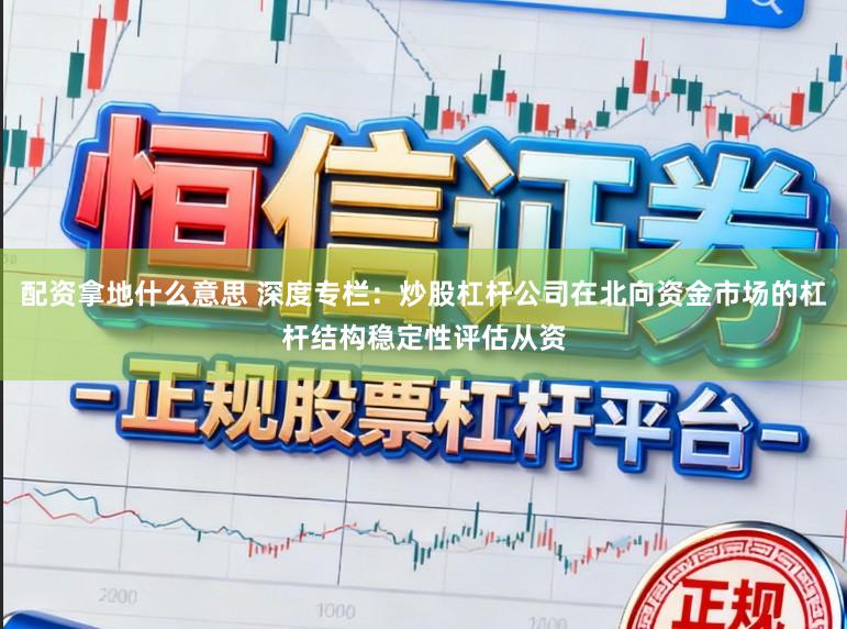 配资拿地什么意思 深度专栏：炒股杠杆公司在北向资金市场的杠杆结构稳定性评估从资