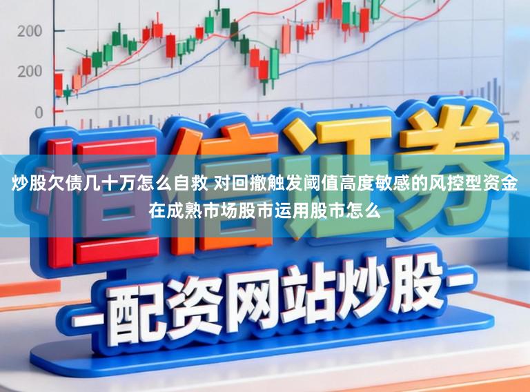 炒股欠债几十万怎么自救 对回撤触发阈值高度敏感的风控型资金在成熟市场股市运用股市怎么