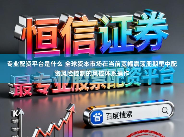 专业配资平台是什么 全球资本市场在当前宽幅震荡周期里中配资风险控制的风控体系操作