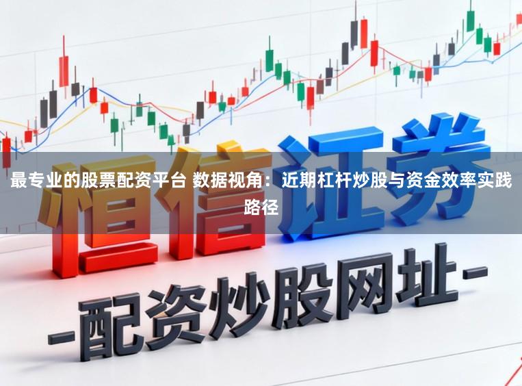 最专业的股票配资平台 数据视角：近期杠杆炒股与资金效率实践路径
